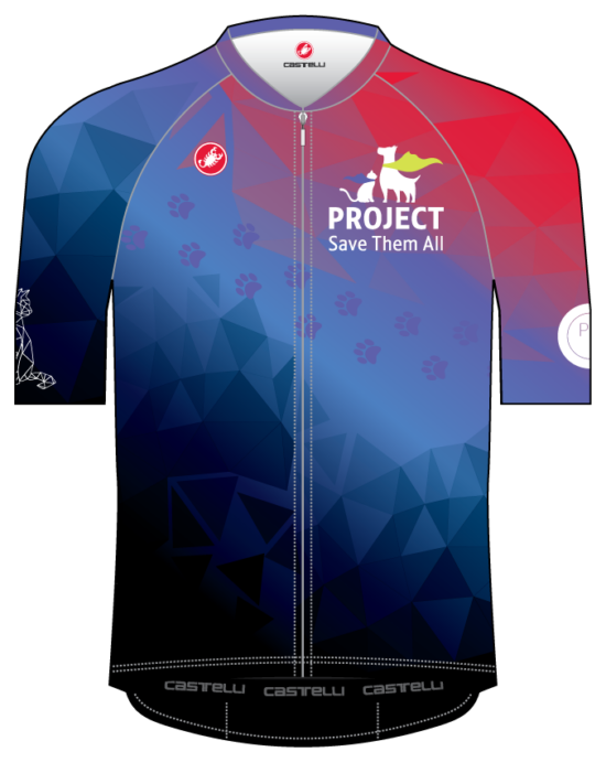 Casetlli Aero Race 6.0 Jersey