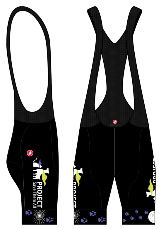 Competizione Bibshort Back X2 Pad